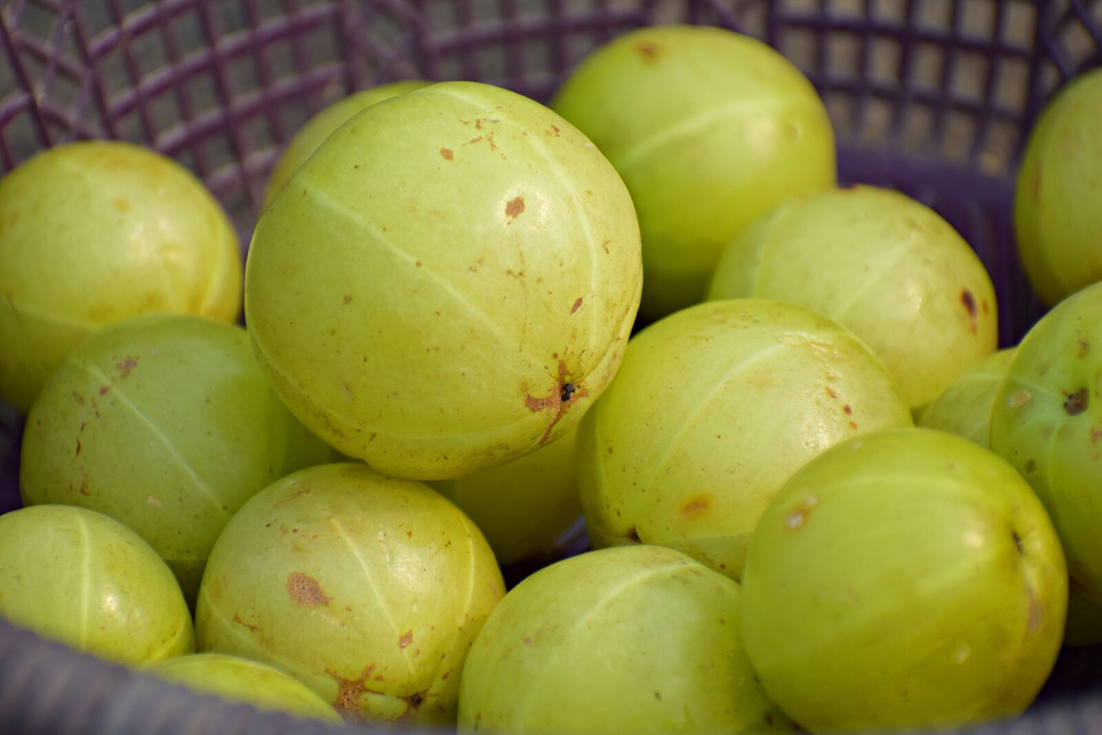 Nikon D3300 sample photo. Fresh, fruit, healthy photography
