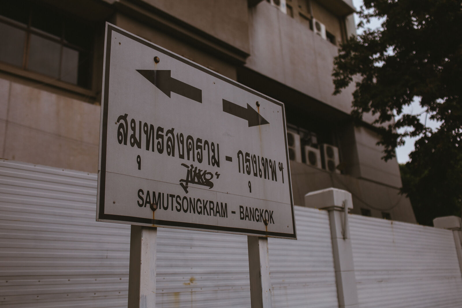 Canon EOS RP sample photo