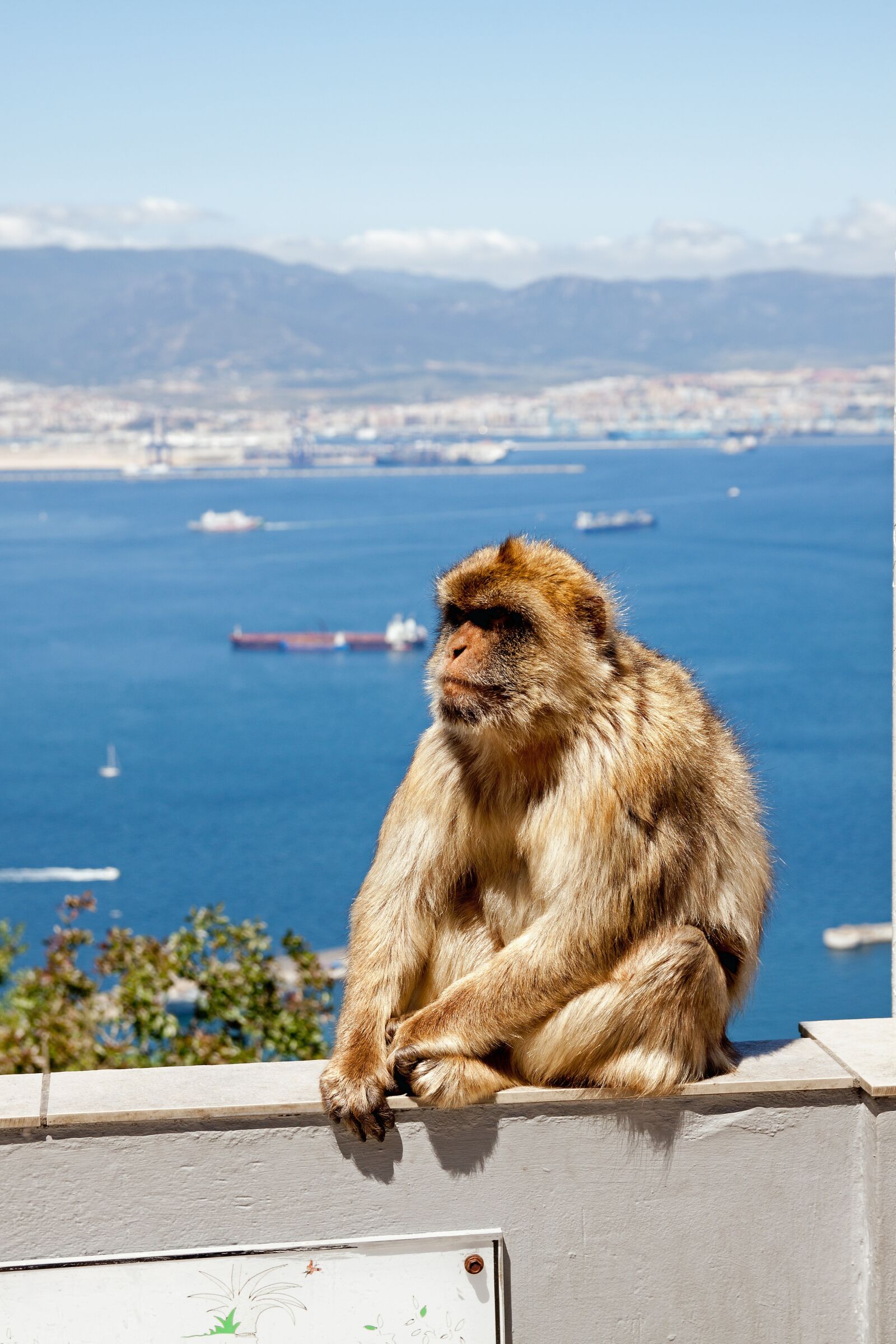 Canon EOS 50D sample photo. Nature, travel, sea photography