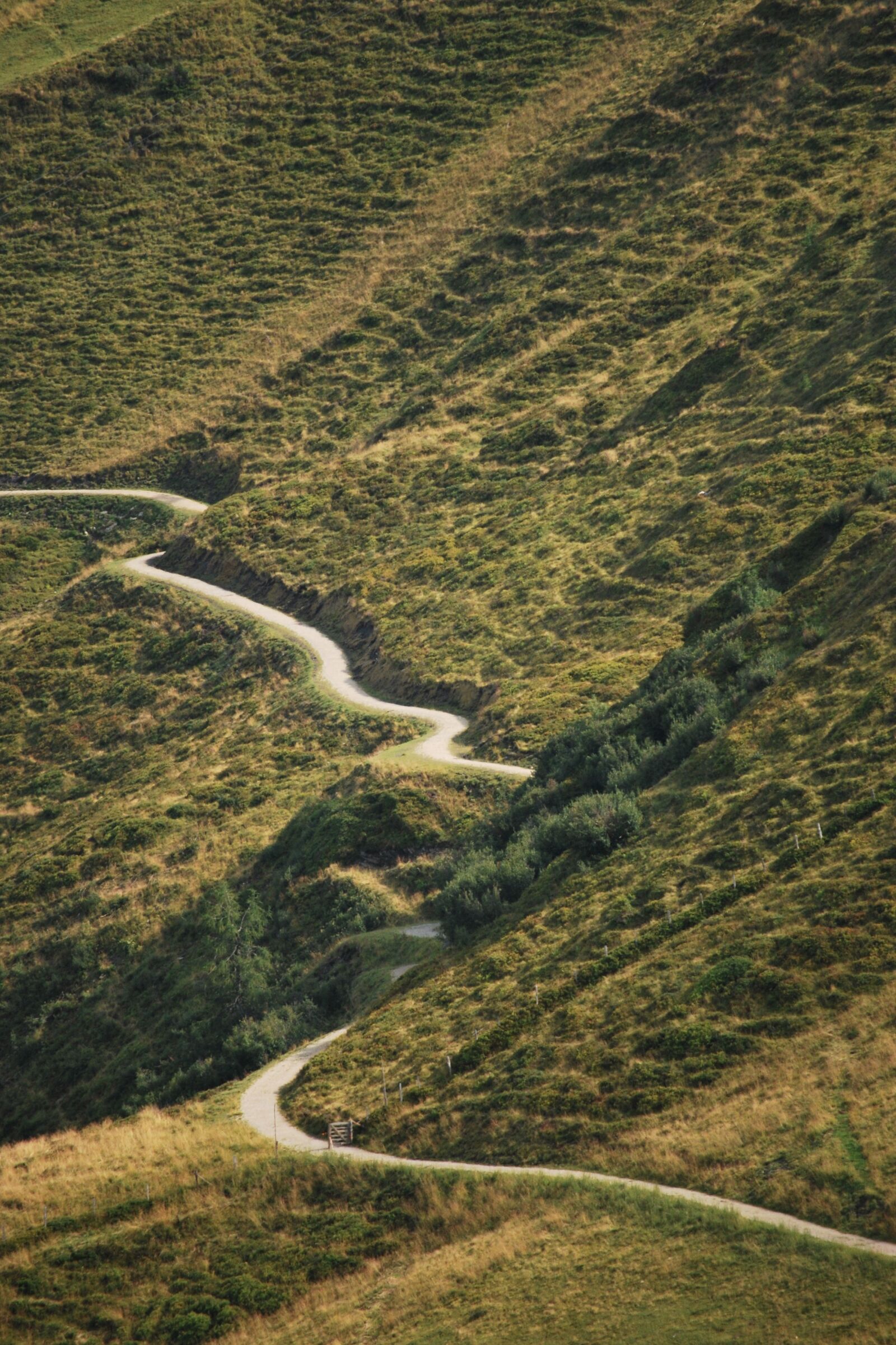 Nikon D60 sample photo. Alps, mountains, austria photography