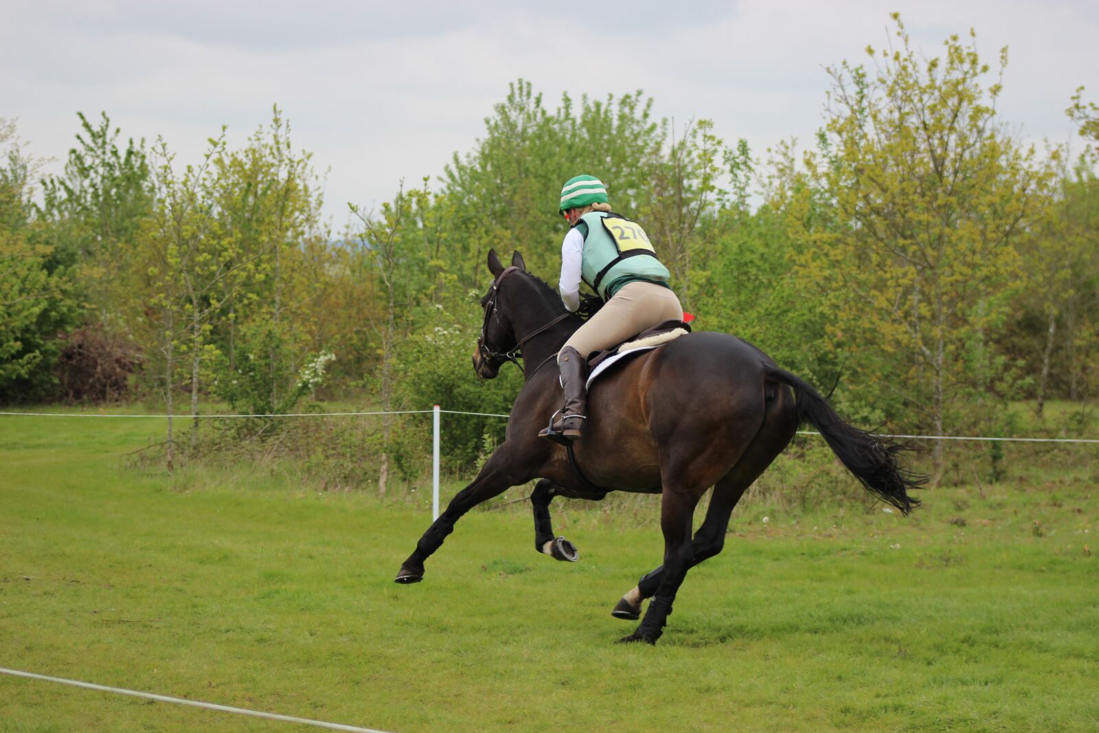 Canon EF75-300mm f/4-5.6 sample photo. Equine, cross country, horse photography