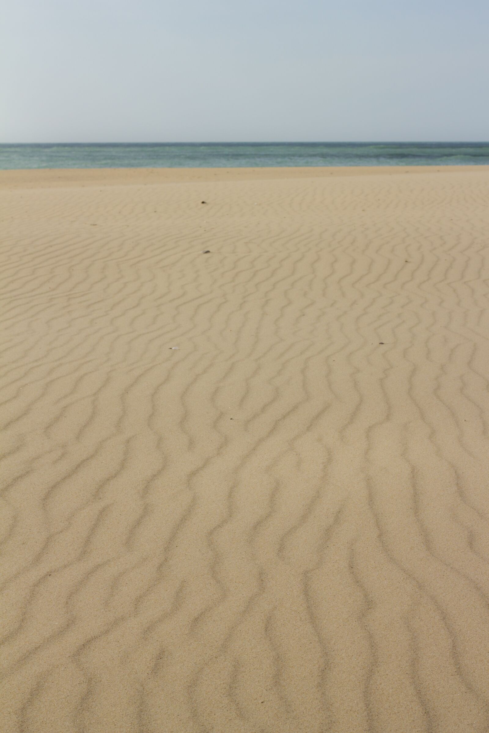 Canon EOS 550D (EOS Rebel T2i / EOS Kiss X4) + Canon EF 50mm F1.8 II sample photo. Beach, sand, wind photography