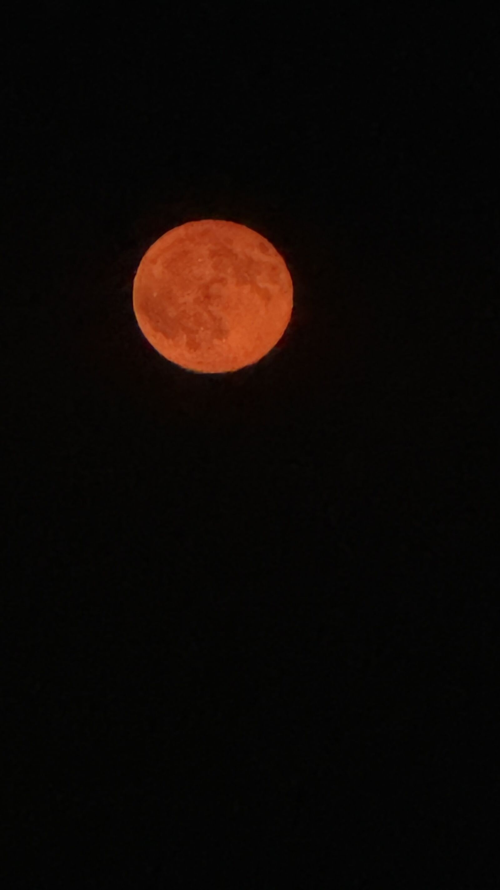 Apple iPhone 16 Pro sample photo