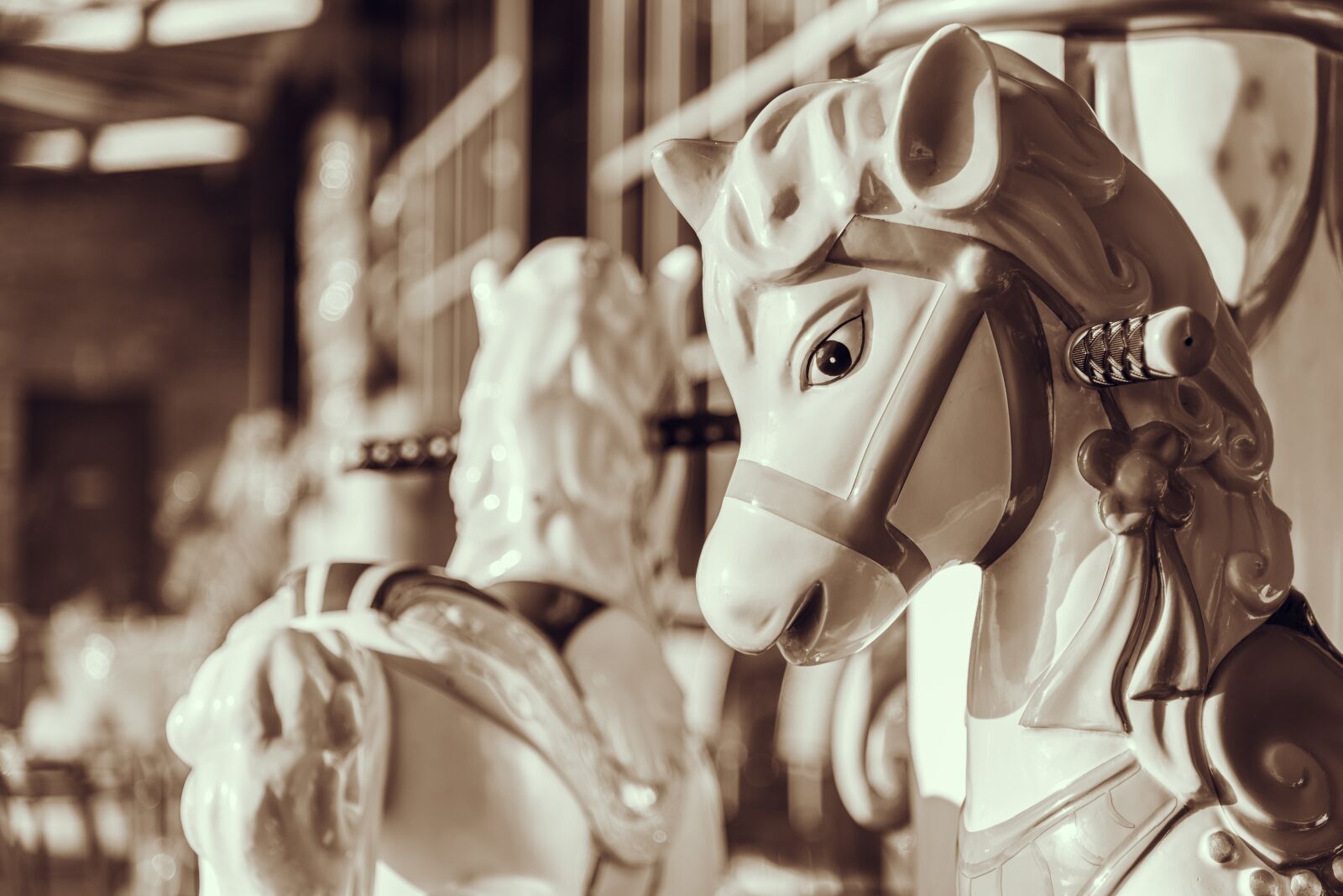 Nikon D750 sample photo. Sepia, horse, ride photography