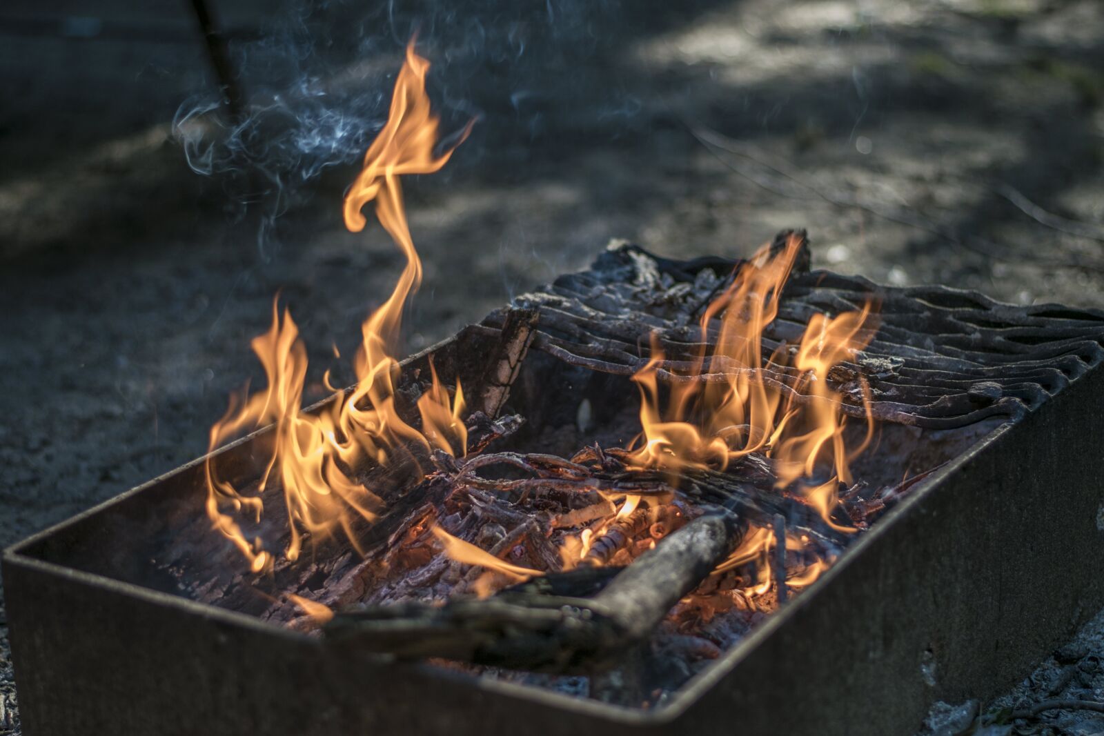 Nikon D3300 sample photo. Ash, burn, burning photography