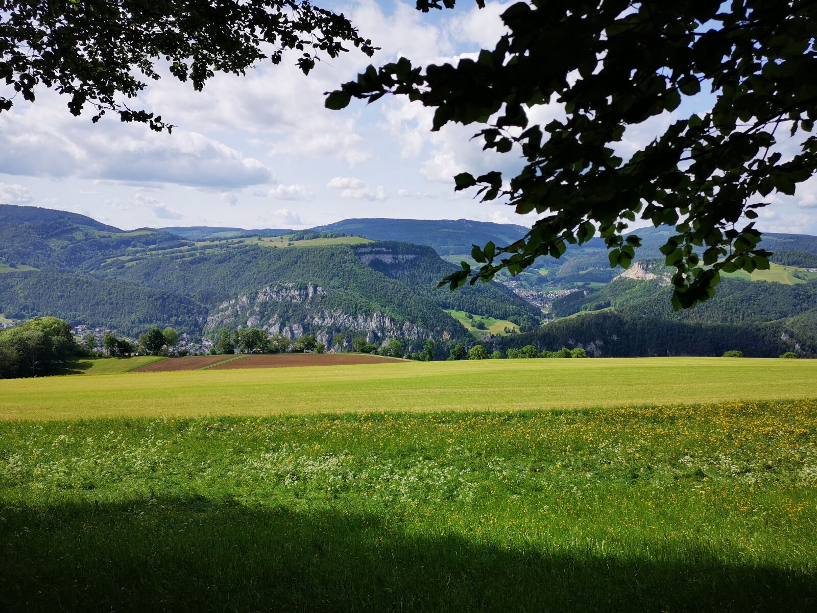 HUAWEI CLT-L29 sample photo. Nature, hiking, field photography