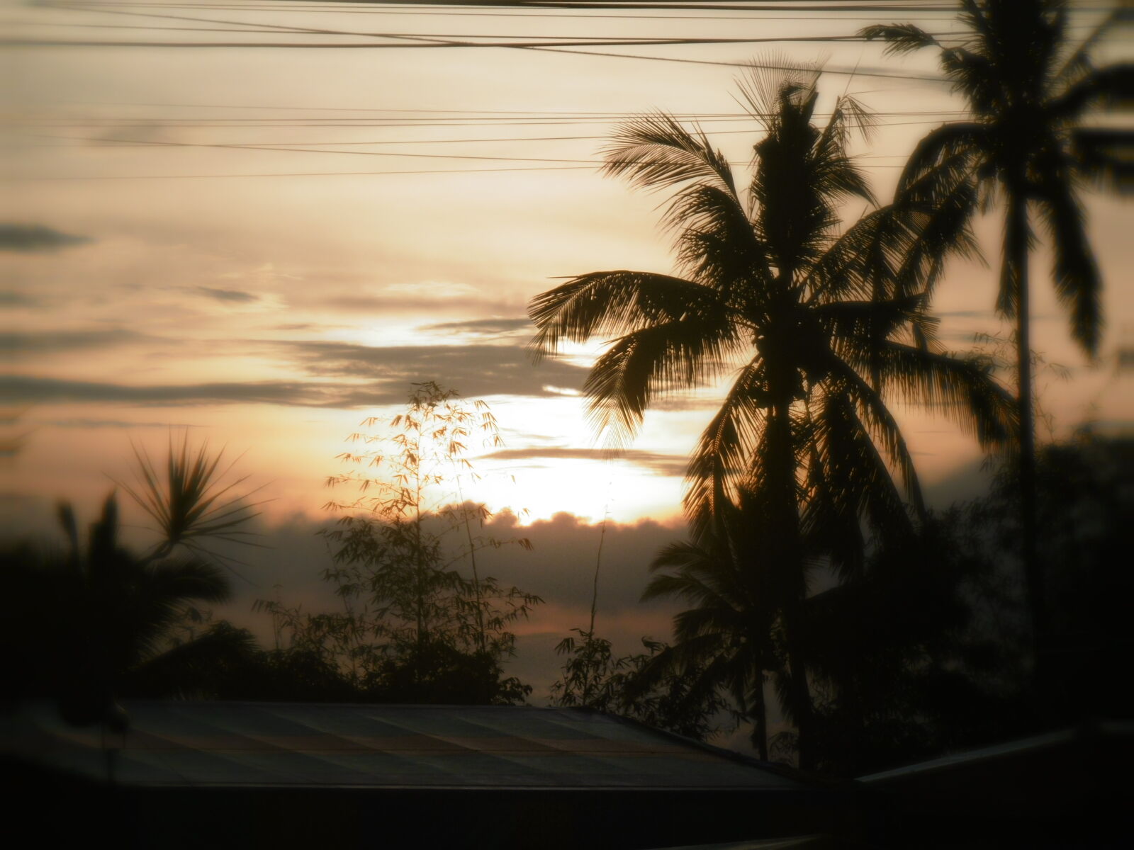 Panasonic DMC-SZ10 sample photo