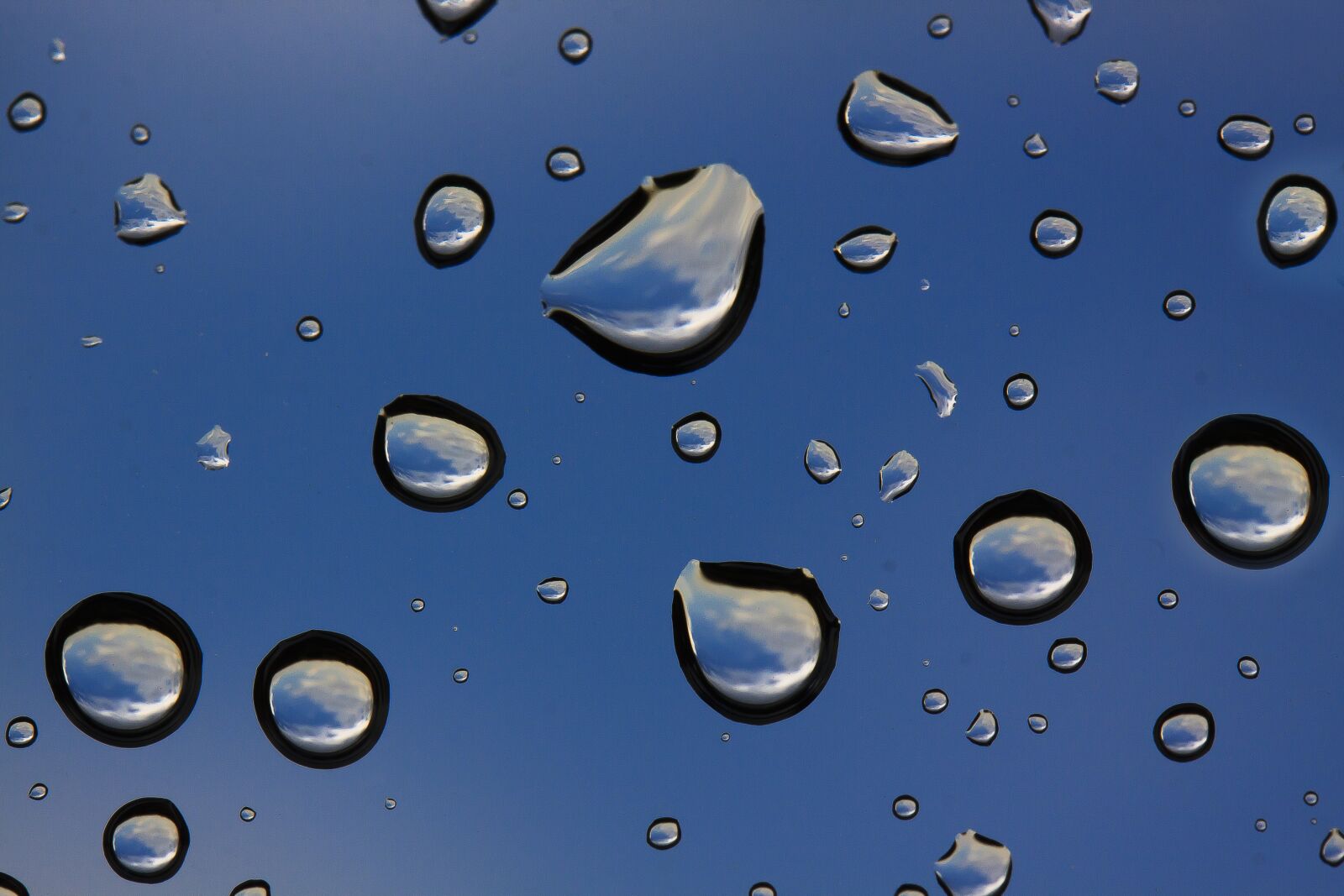 Canon EF-S 60mm F2.8 Macro USM sample photo. Rain, raindrop, window photography