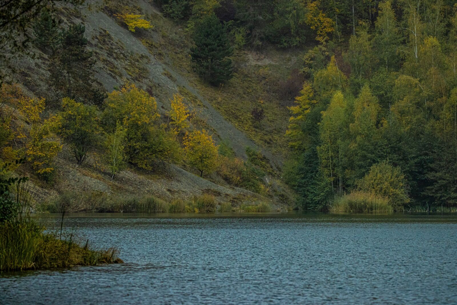 Canon EOS 90D sample photo. Lake, bank, landscape photography