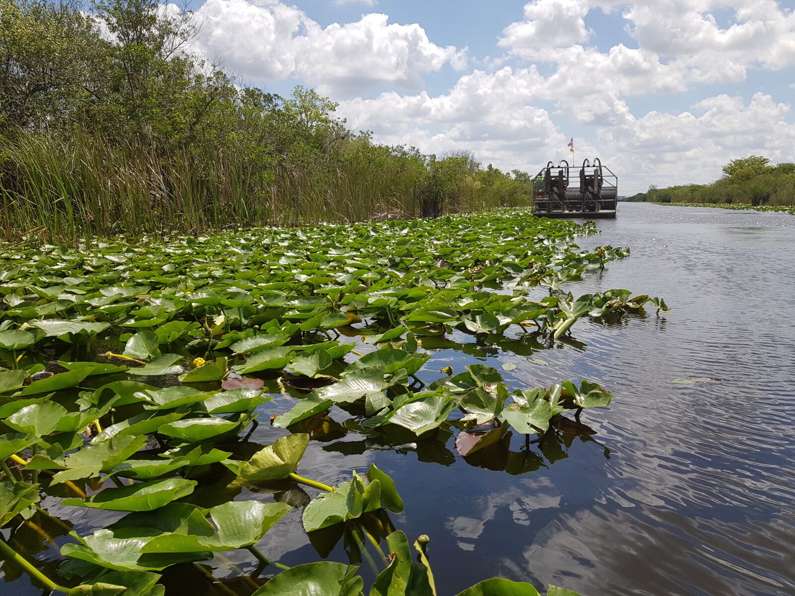 Samsung Galaxy S8 sample photo. Everglades, florida, usa photography