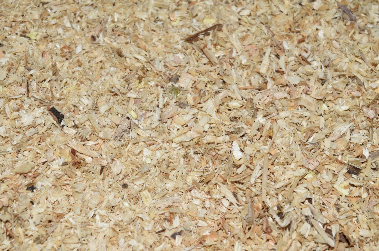Nikon D5500 sample photo. Sawdust, abstract, mock up photography