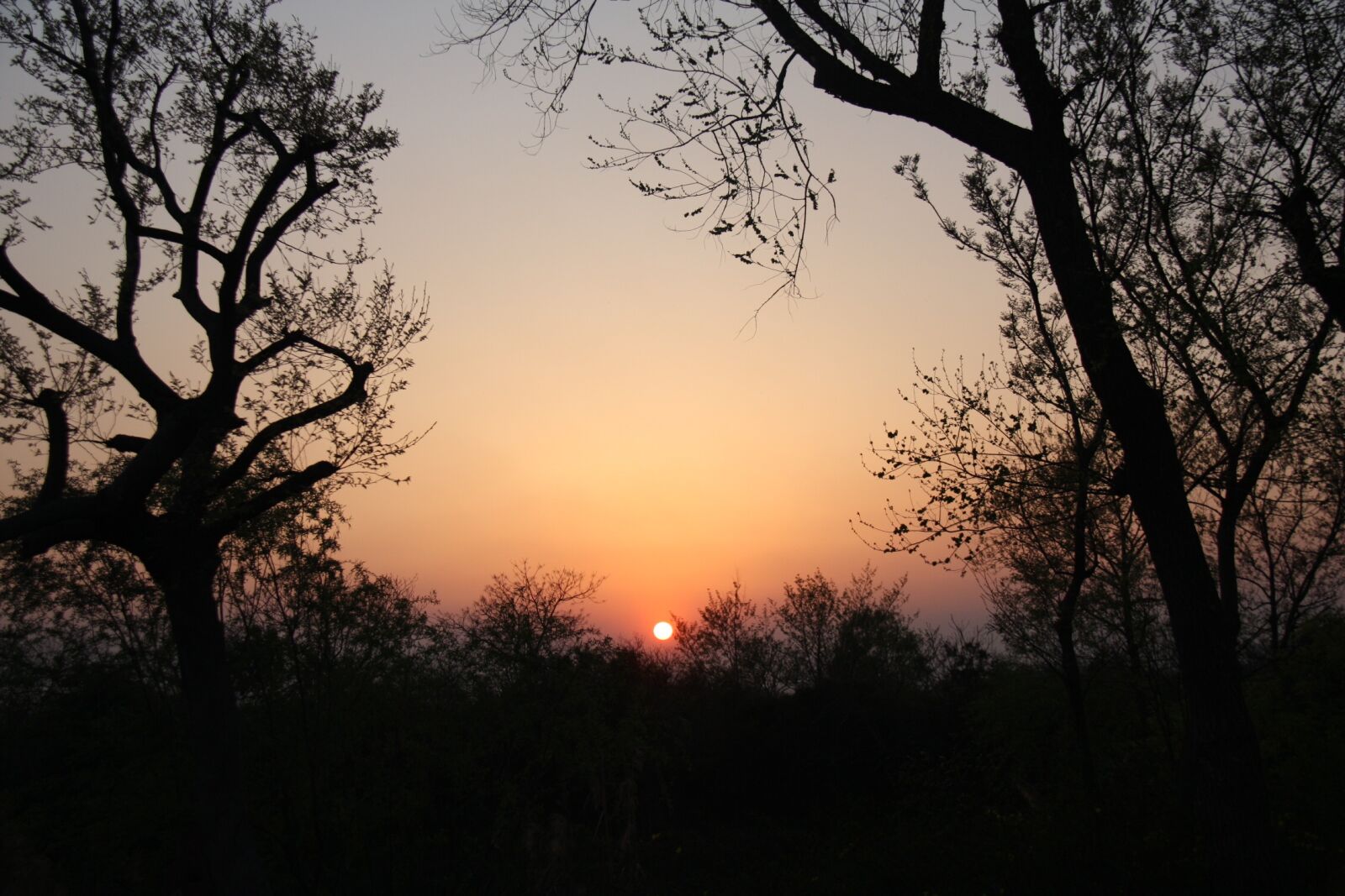Canon EOS 450D (EOS Rebel XSi / EOS Kiss X2) sample photo. Sunset, at dusk, evening photography