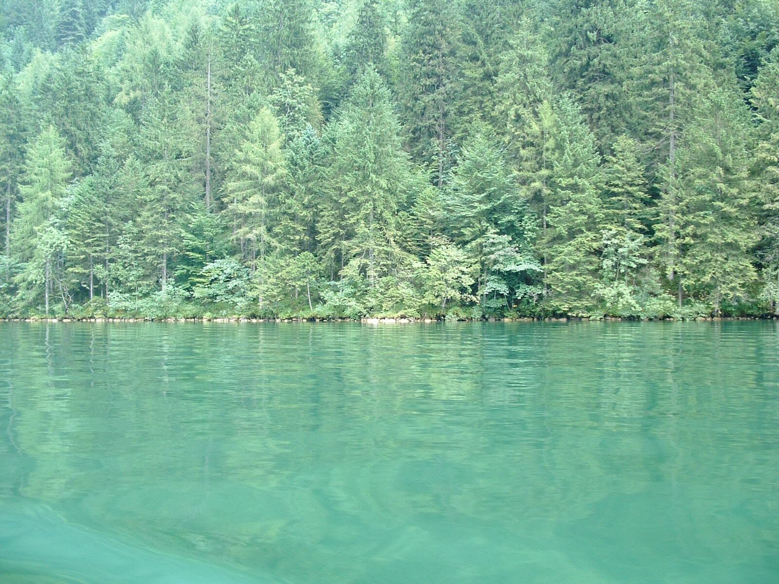 Fujifilm FinePix S304 sample photo. Germany, königsee, lake photography