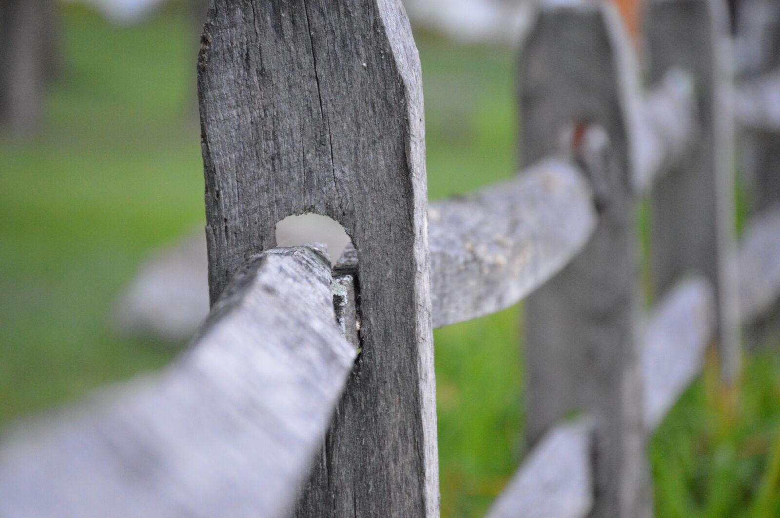 Nikon D3200 sample photo. Fence, old fashion, post photography