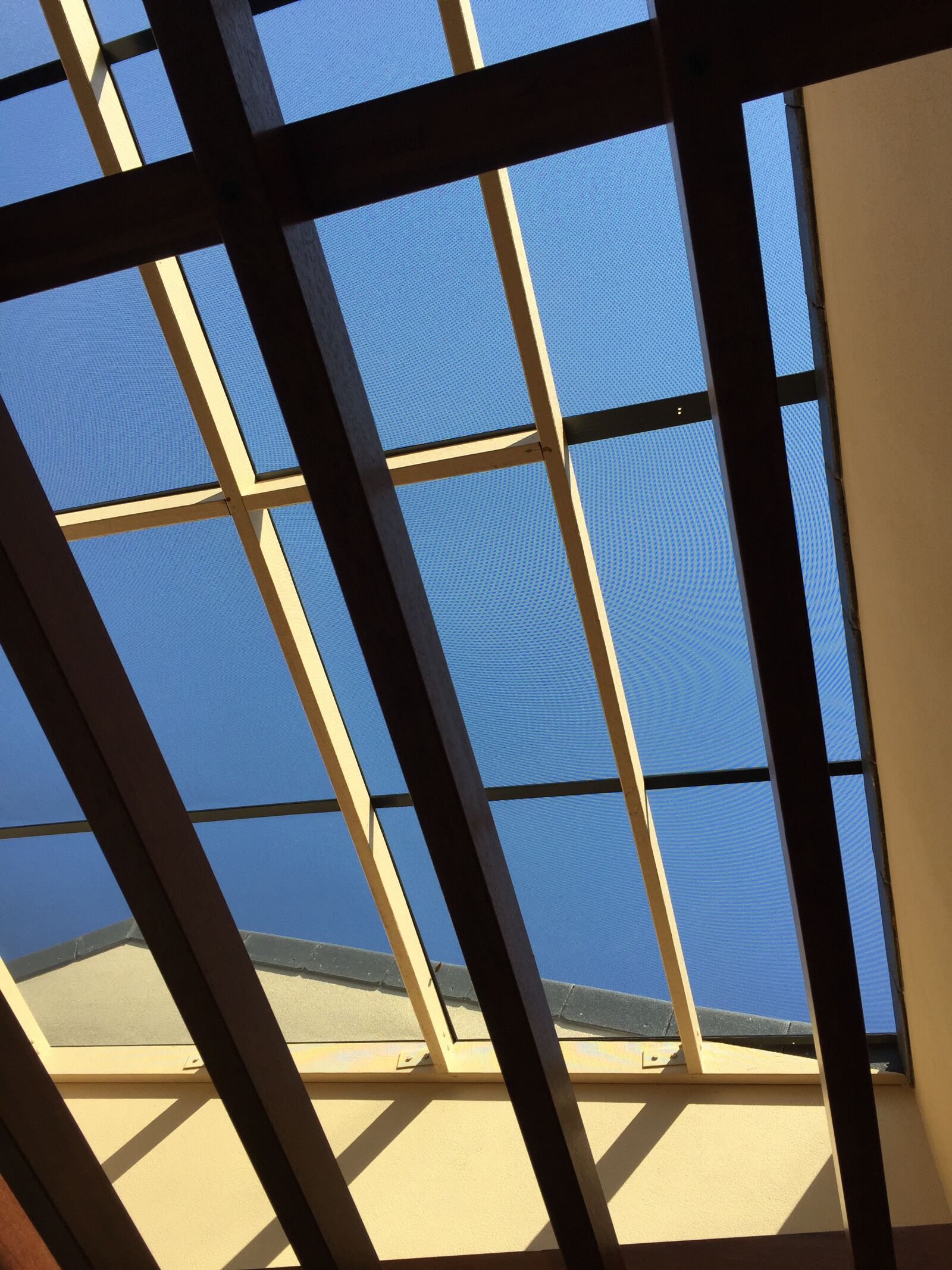 iPhone 6 back camera 4.15mm f/2.2 sample photo. Atrium, stainless, mesh photography
