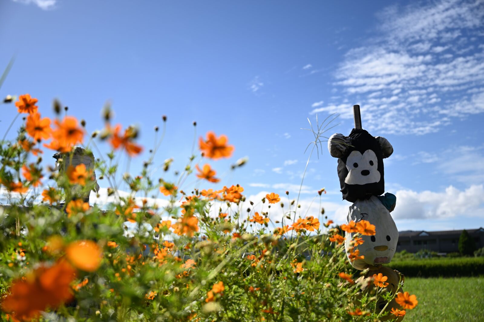 Nikon Nikkor Z 24-70mm F2.8 S sample photo. Scarecrow, japan, rural photography