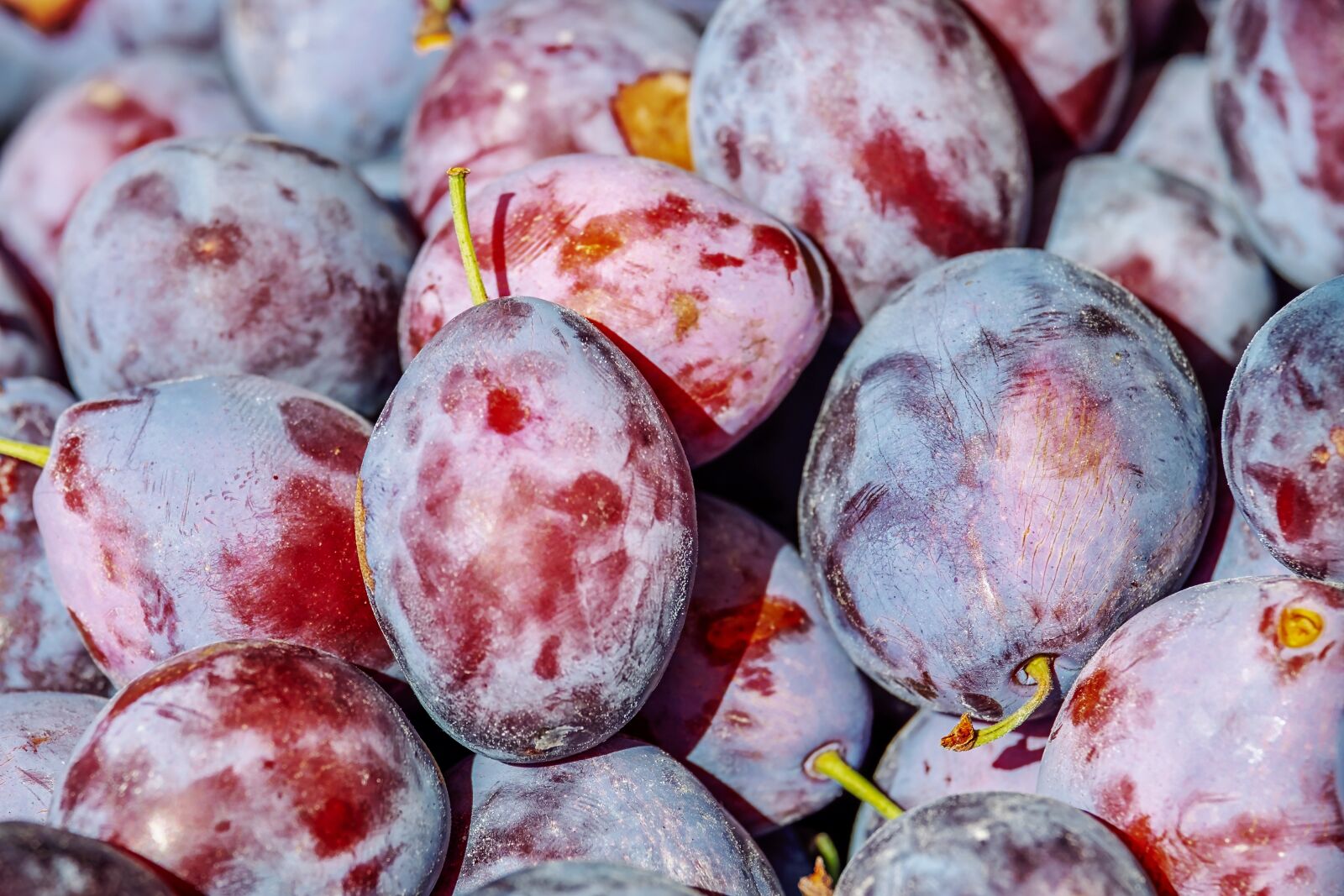 Fujifilm XF 55-200mm F3.5-4.8 R LM OIS sample photo. Plums, fruit, fruits photography