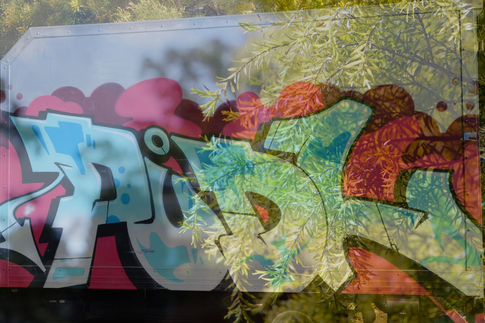 Fujifilm X-T1 sample photo. Graffiti, leaves, re, exposure photography