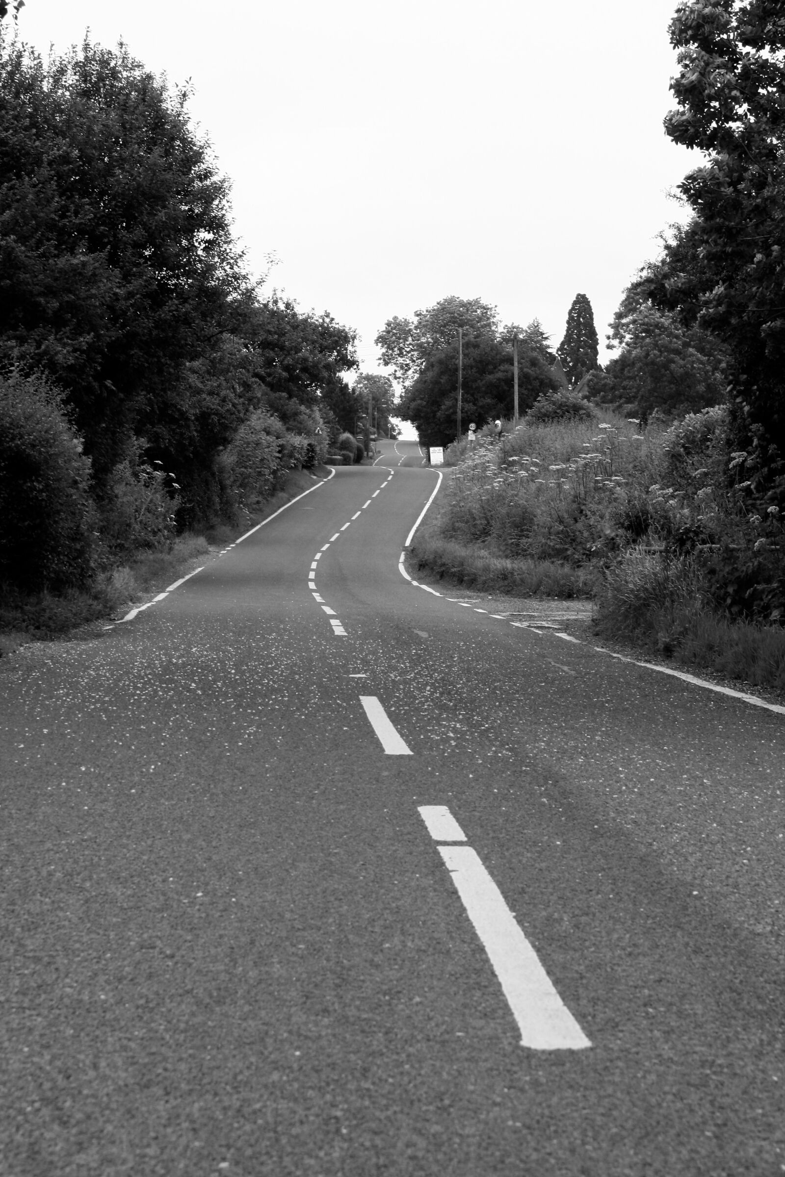 Canon EOS 350D (EOS Digital Rebel XT / EOS Kiss Digital N) sample photo. Black, and, white, journey photography