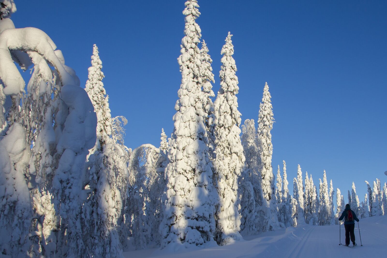 Canon EOS 7D sample photo. Lapland, winter, snow photography