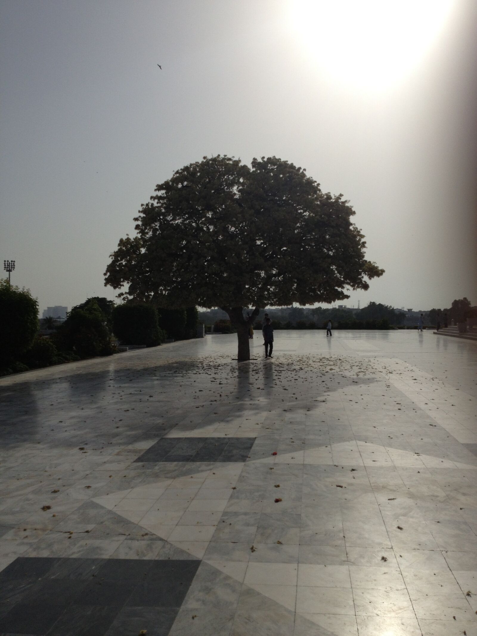 Apple iPhone 4S sample photo. Sunshine, tree shadow, shining photography