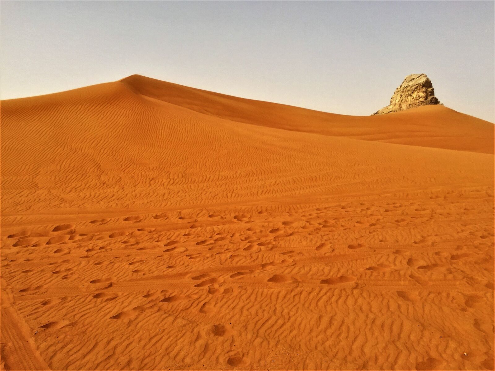Apple iPhone 6 sample photo. Dubai, desert safari, camel photography