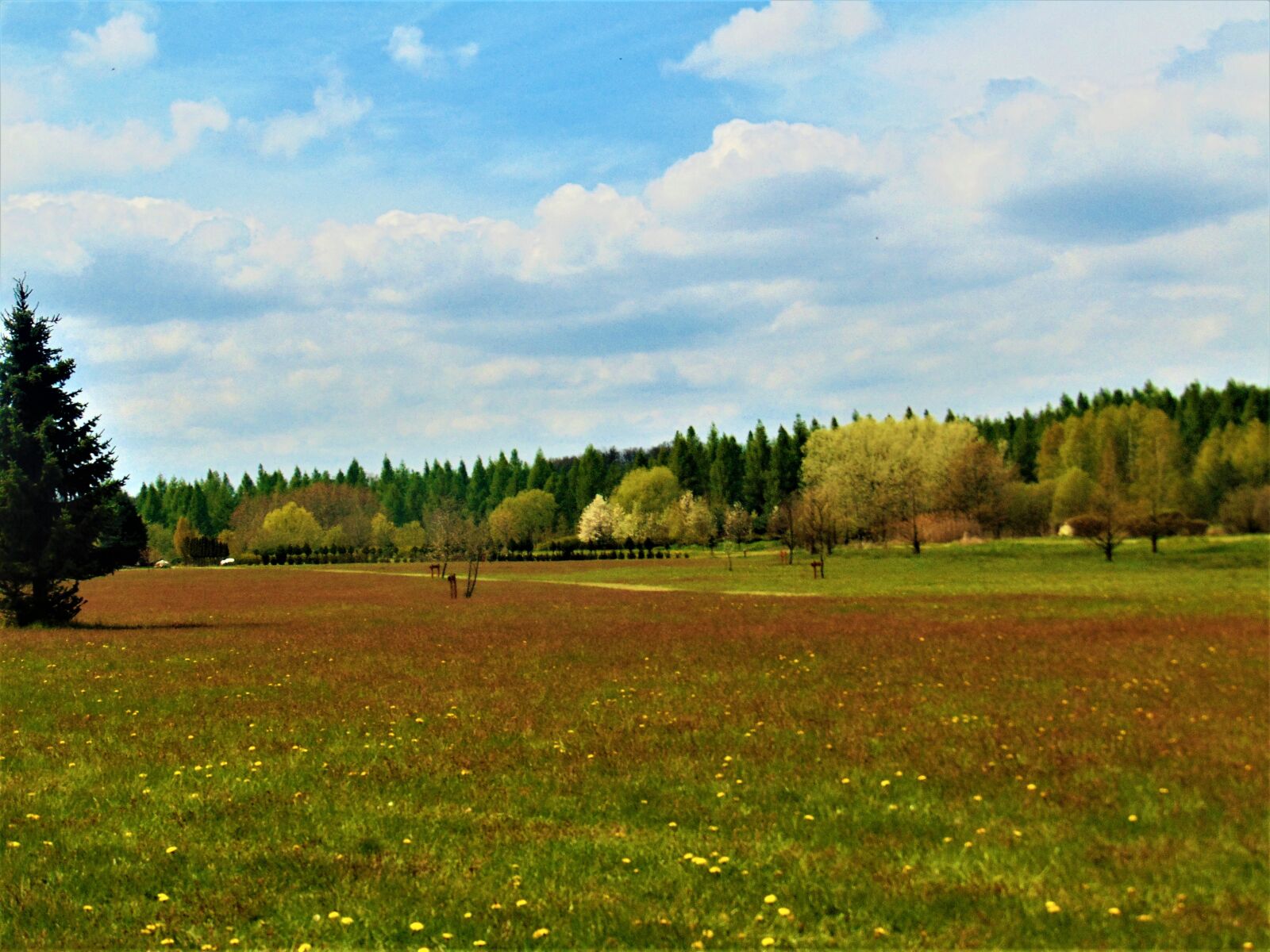 Sony Cyber-shot DSC-H300 sample photo. Landscape, nature, colors photography