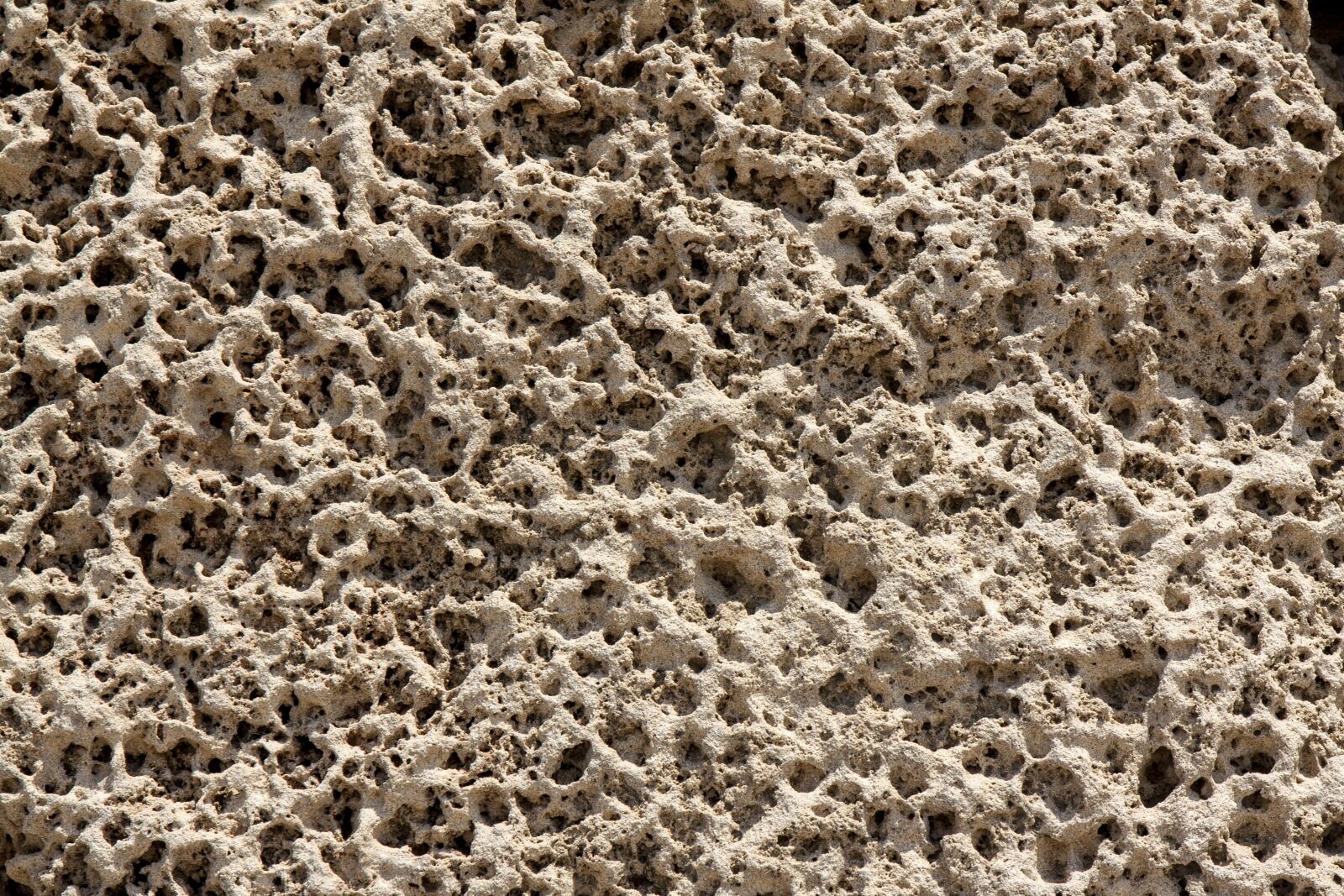 Canon EOS 50D + Canon EF 24-70mm F2.8L USM sample photo. Background, stone, texture photography