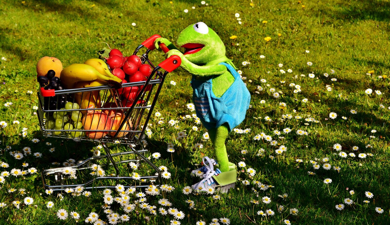 Nikon D7200 sample photo. Kermit, shopping cart, healthy photography