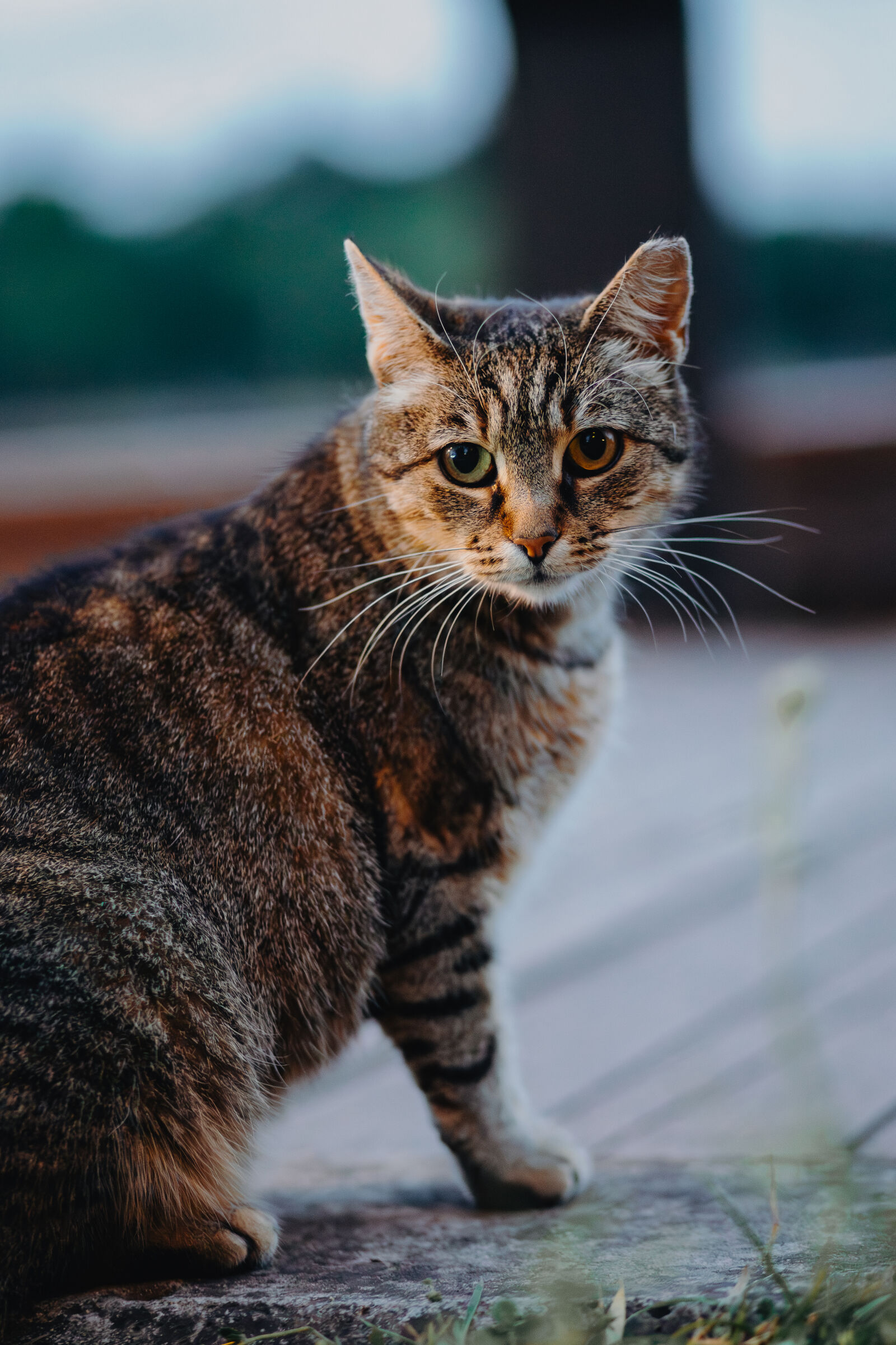 Canon EOS R sample photo