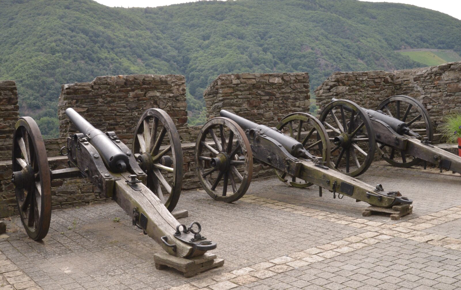 Nikon D600 sample photo. Burg reichenstein, rhine, gemany photography