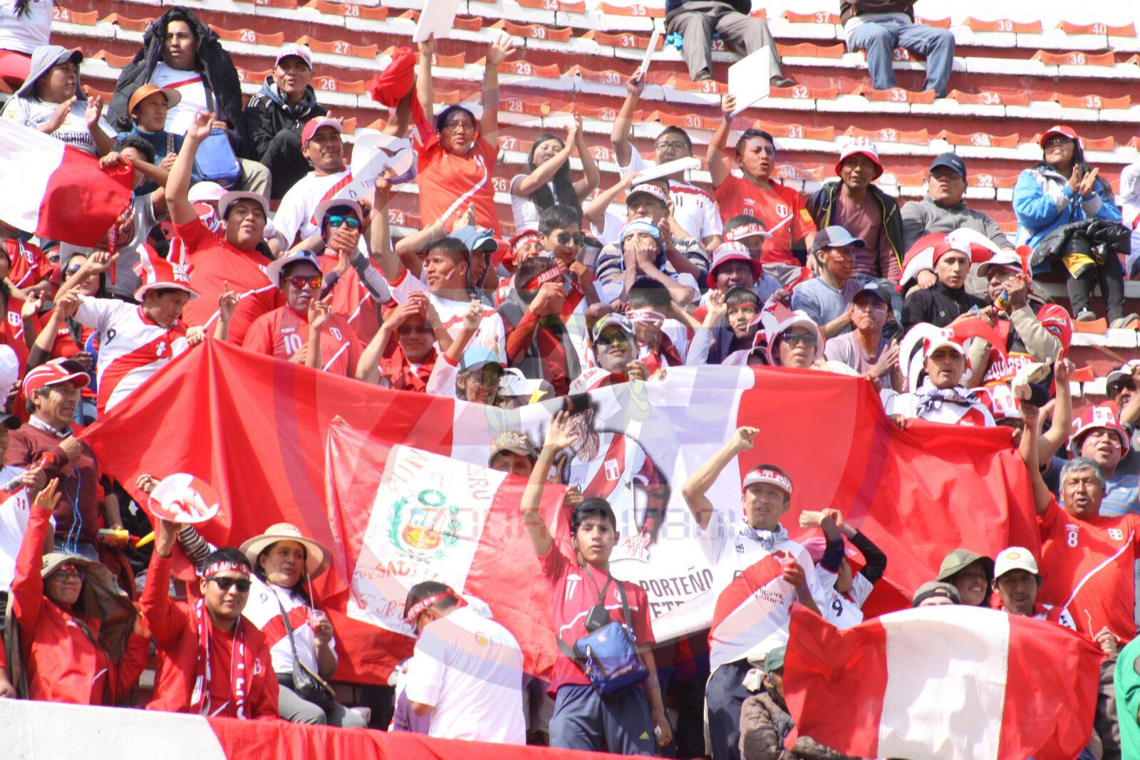 Canon EOS 50D sample photo. Peru, bolivia, peruvian fans photography
