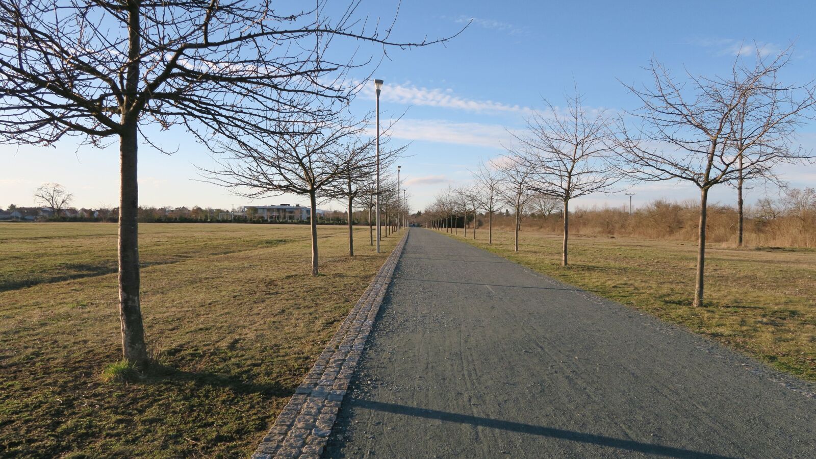 Canon PowerShot G7 X sample photo