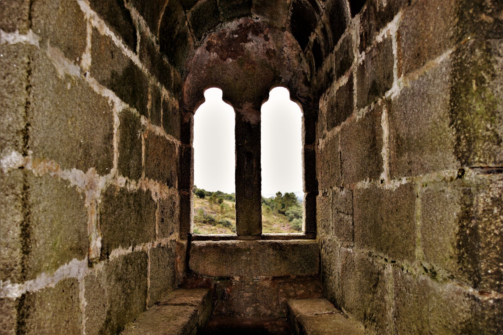 Nikon D3400 sample photo. Window, castle, architecture photography