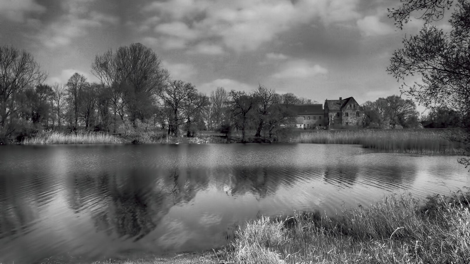 Nikon Coolpix P900 sample photo. Waters, black and white photography