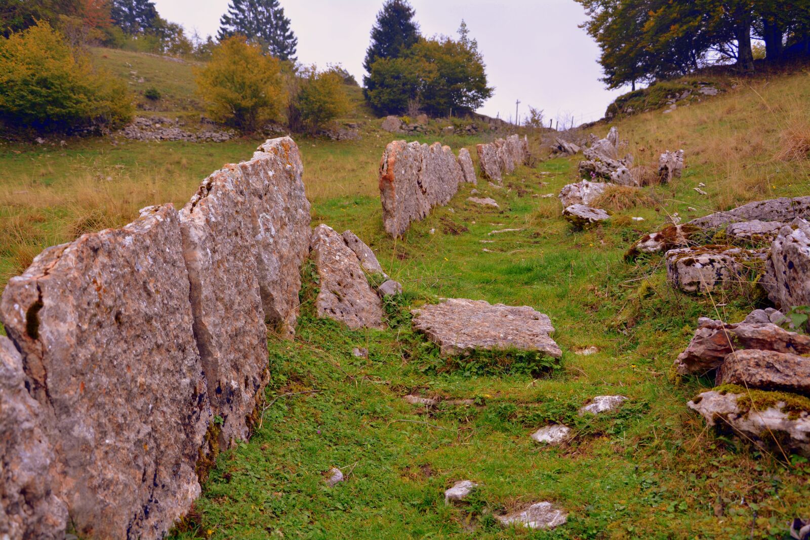 Nikon D7100 sample photo. Trail, fence, stones photography