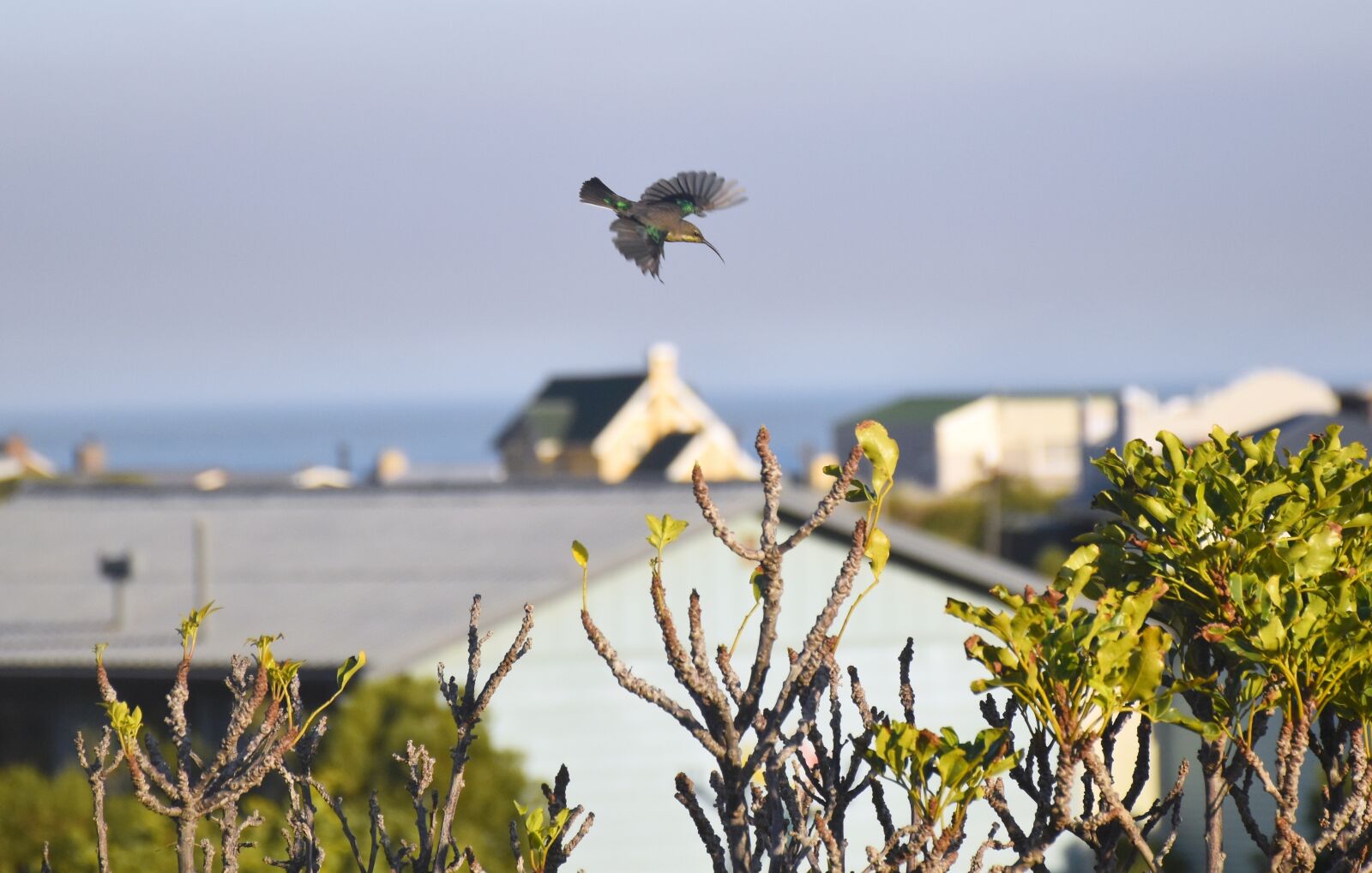 Nikon D5500 sample photo. Country, seaside town, coastal photography