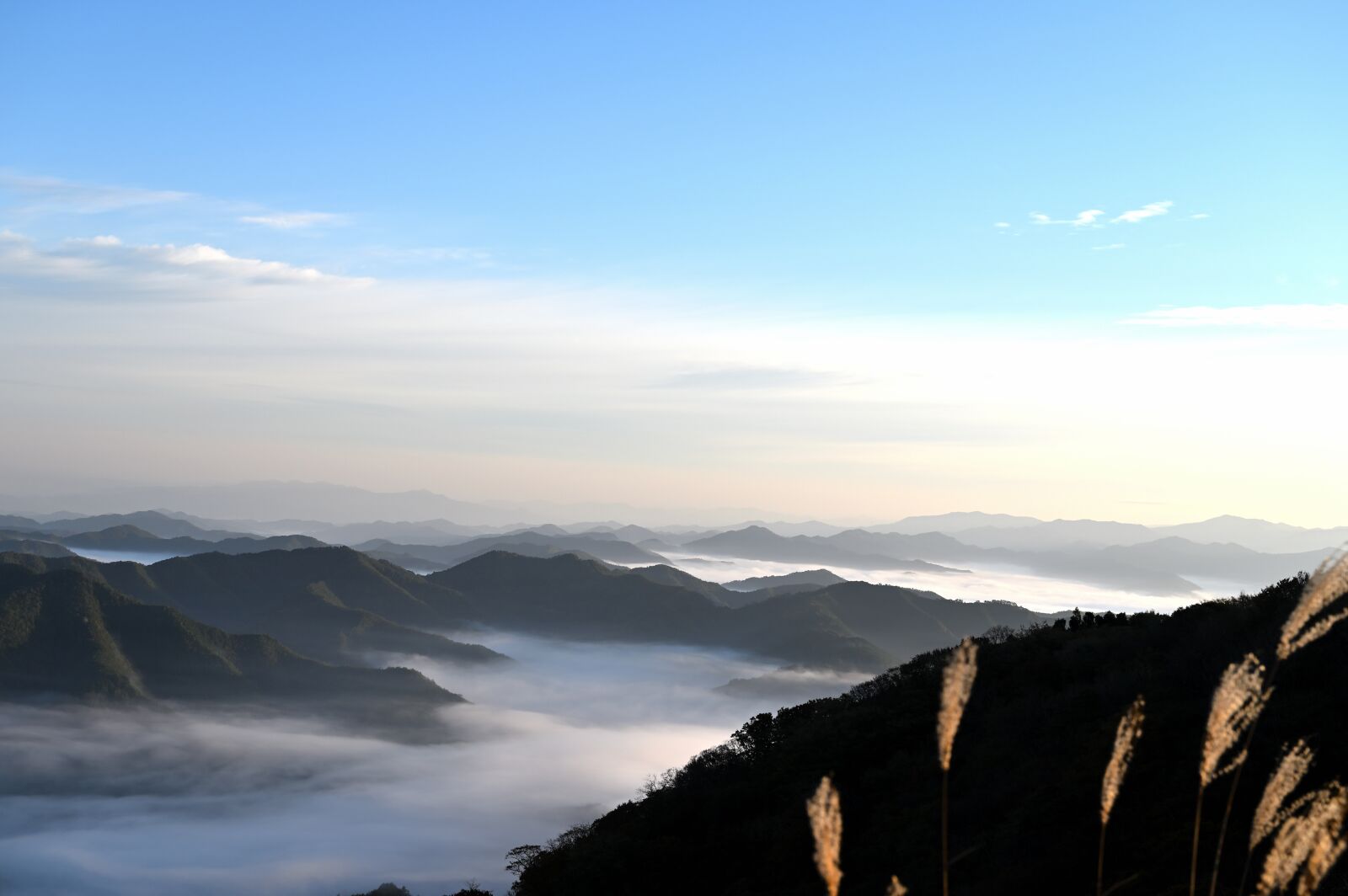 Nikon Nikkor Z 24-70mm F2.8 S sample photo. Sea of clouds, mountain photography