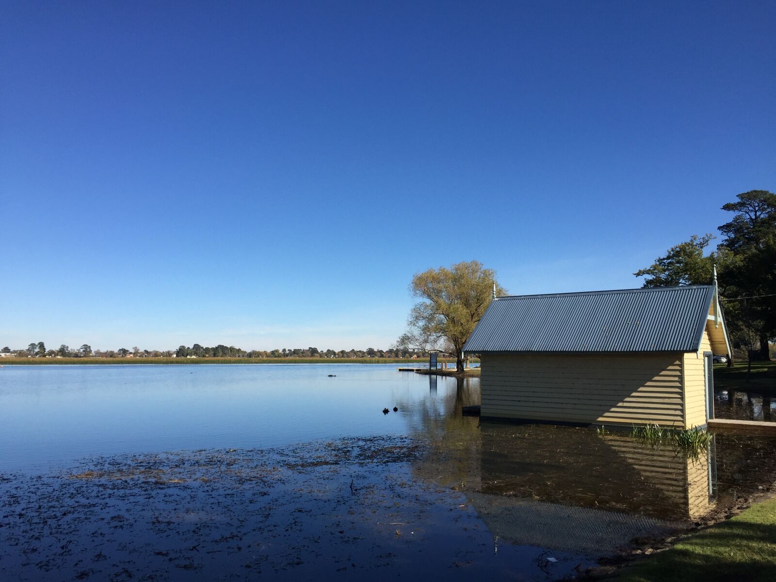 Apple iPhone 6 sample photo. Boathouse, wendouree, ballarat photography