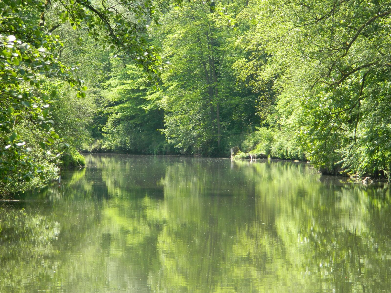 Nikon Coolpix L120 sample photo. River, nature, water photography