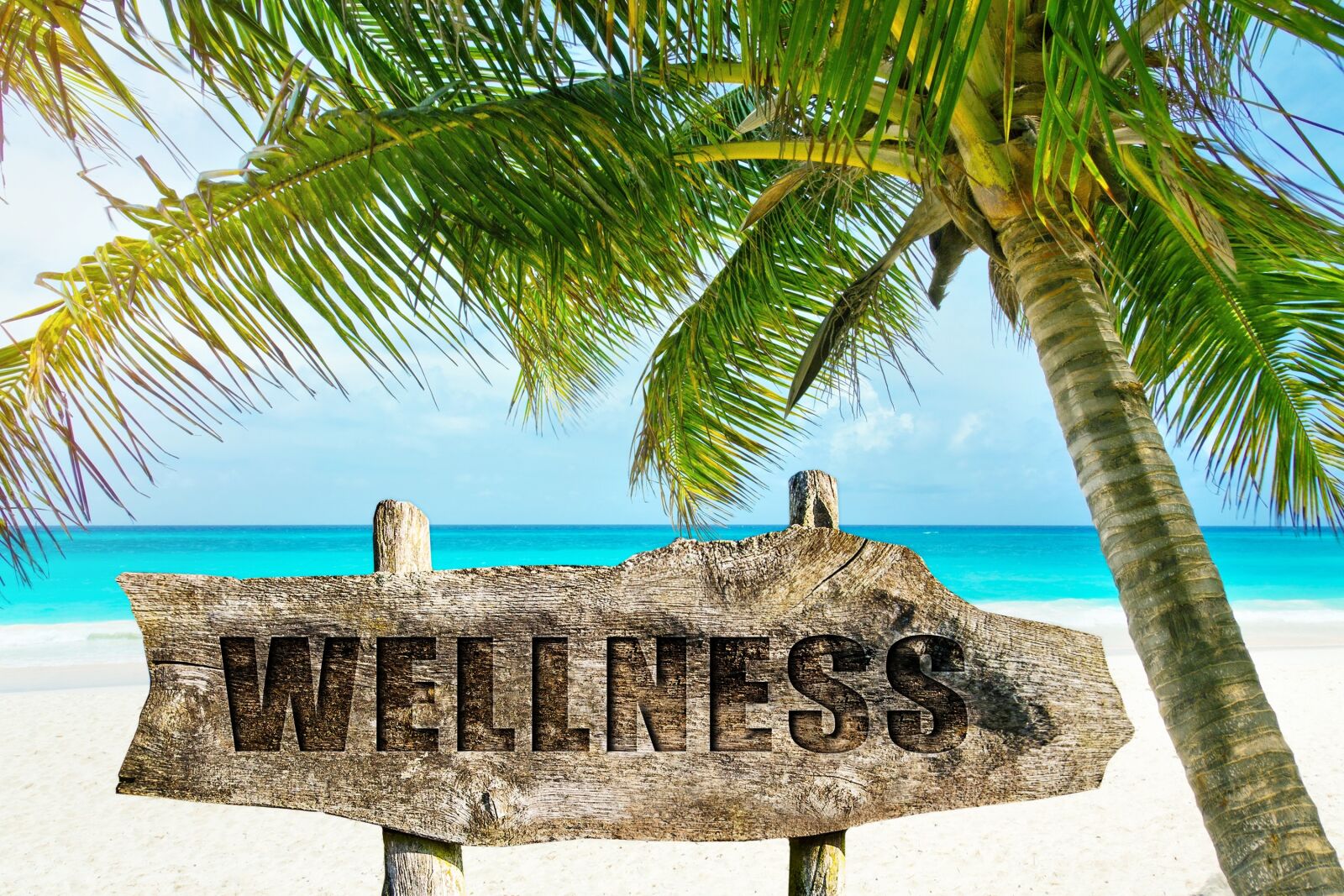 Canon EOS 5D Mark II sample photo. Wellness, palm, beach photography