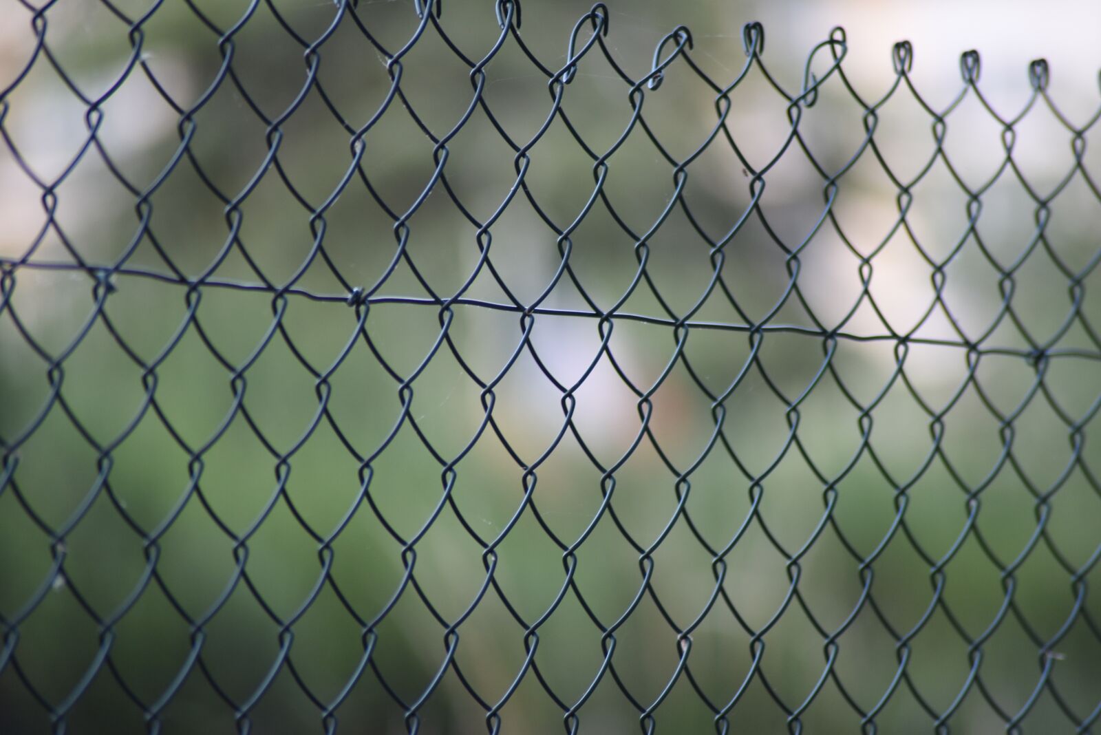 Nikon D750 sample photo. Bokeh, blur, focus photography