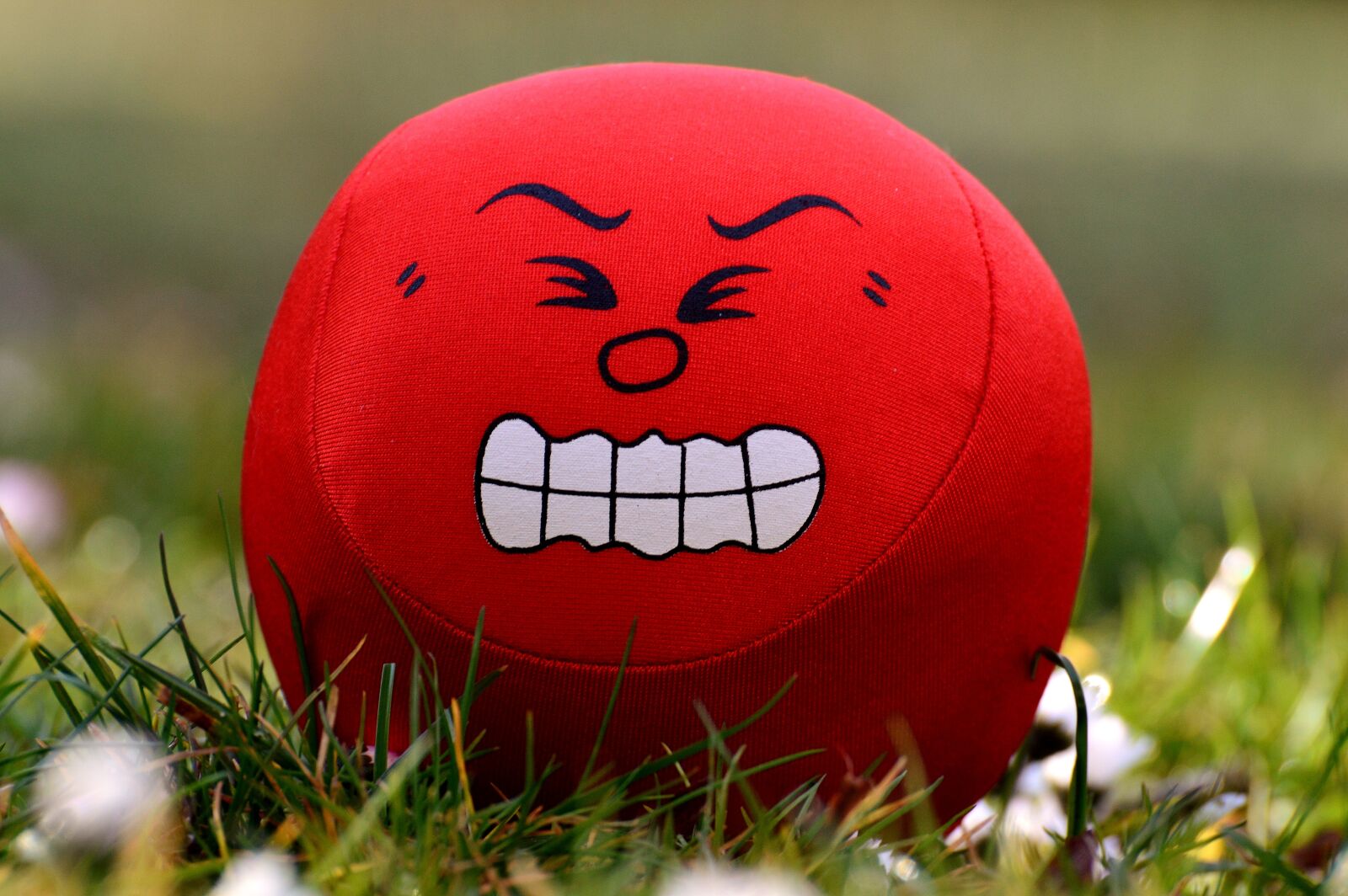 Nikon D3200 sample photo. Smilies, emotions, angry photography