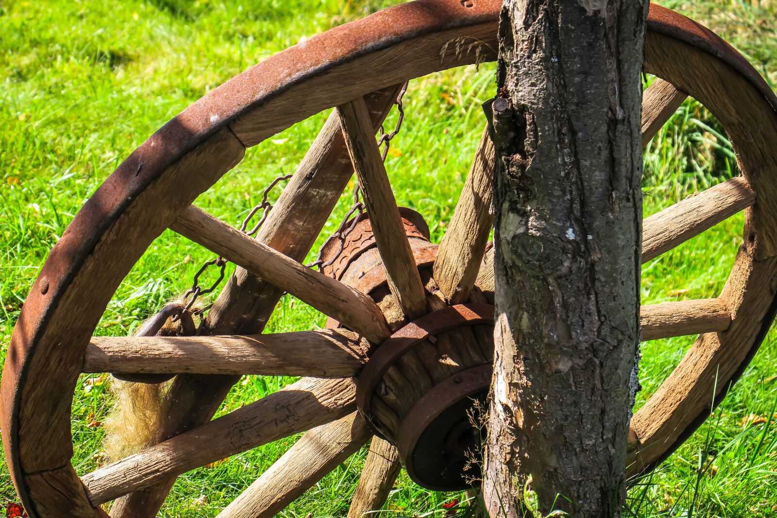 Canon PowerShot G3 X sample photo. Wagon wheel, wheel, wooden photography