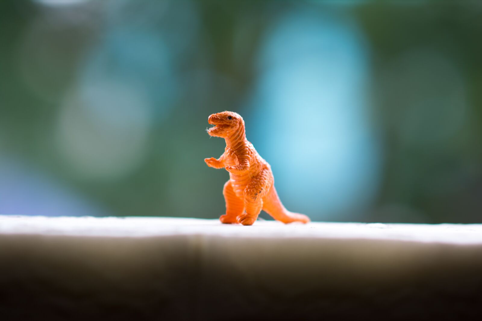 Nikon D5200 sample photo. Animal, toy, cute photography
