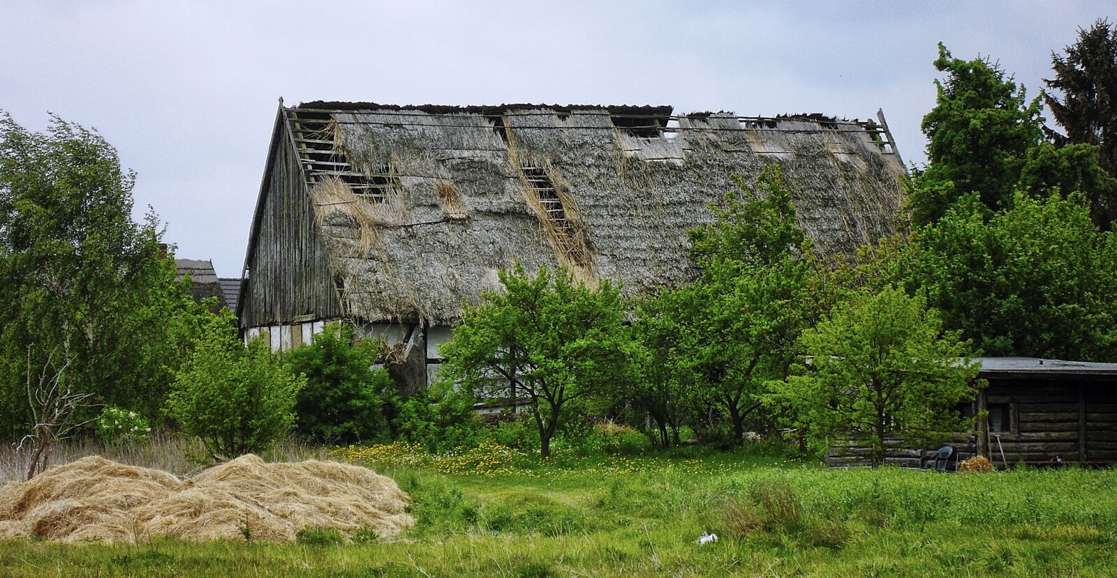 Samsung WB1000 / VLUU WB1000 /  TL320 sample photo. Barn, break up, thatched photography