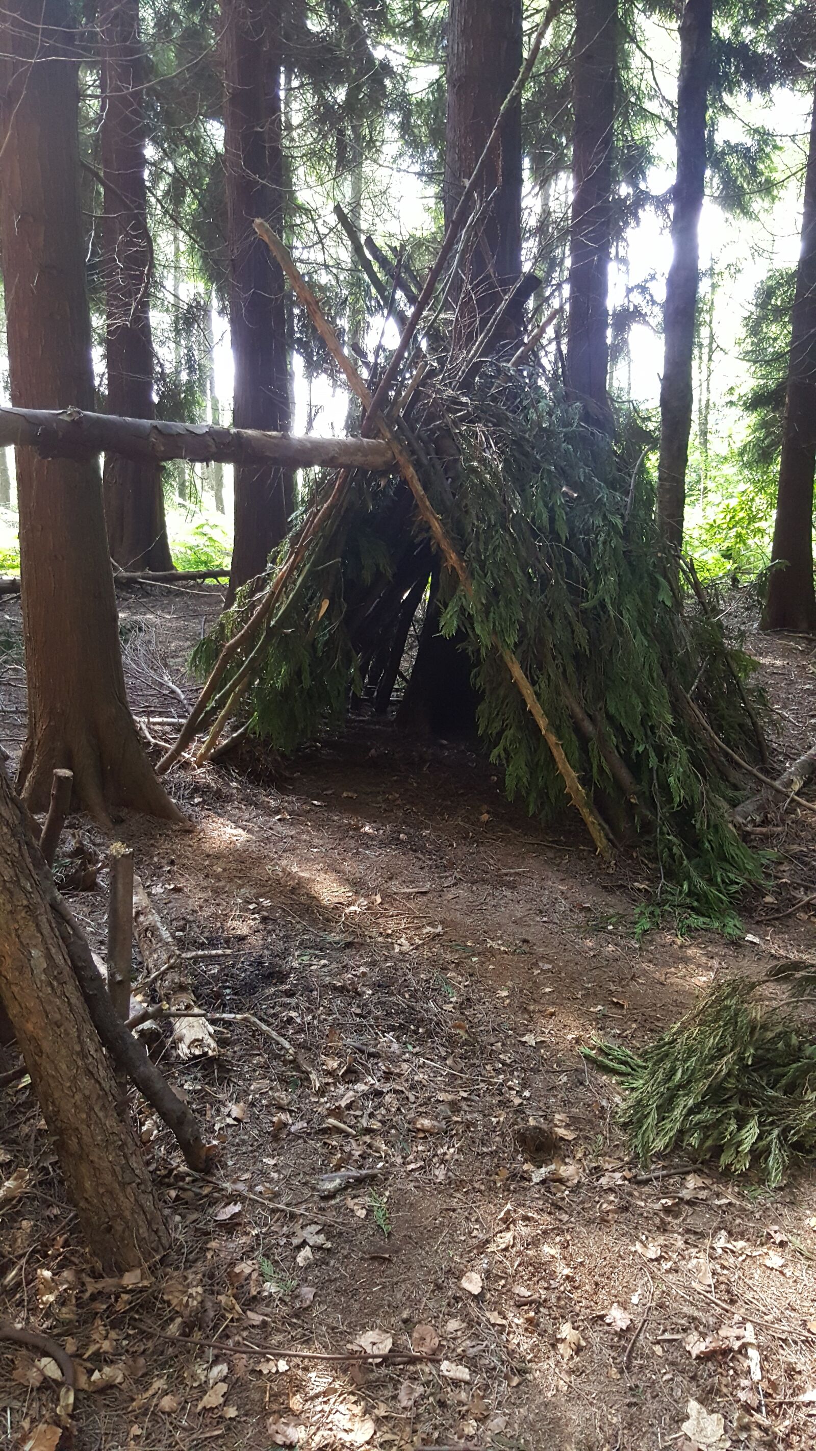 Samsung Galaxy S6 sample photo. Shelter, building, den photography