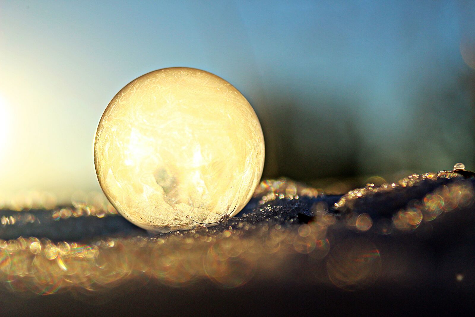 Canon EOS 100D (EOS Rebel SL1 / EOS Kiss X7) sample photo. Ball, soap bubble, frost photography