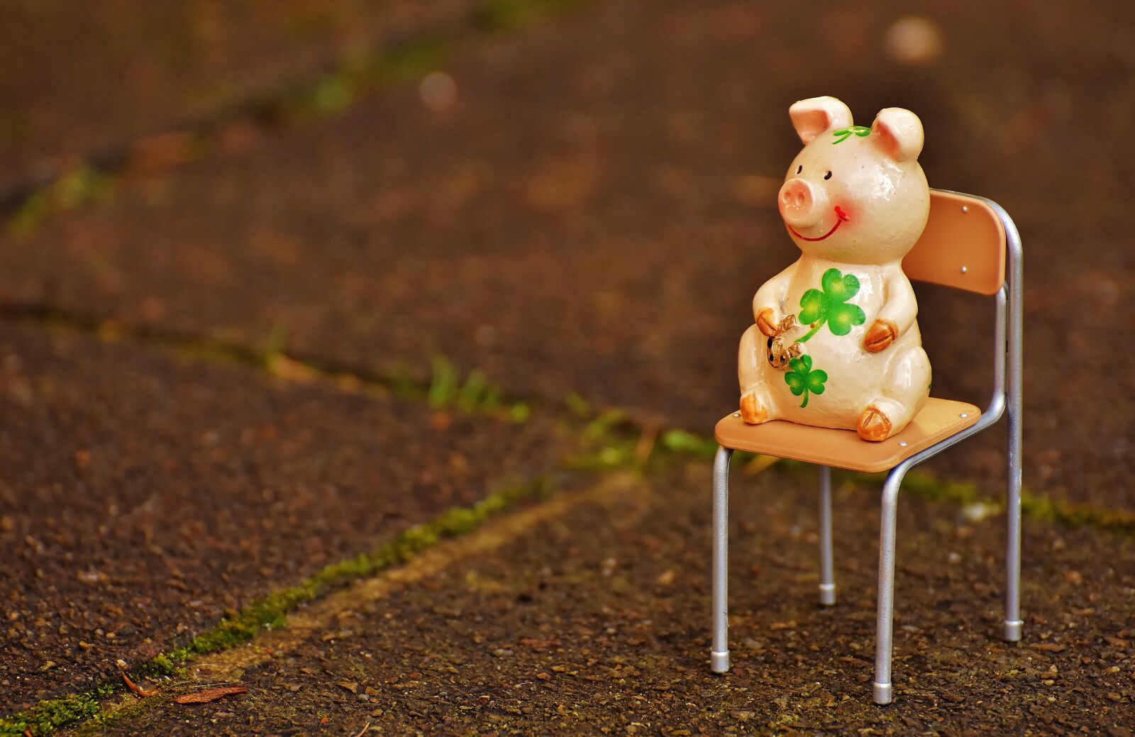 Nikon D7200 sample photo. Lucky pig, figure, luck photography