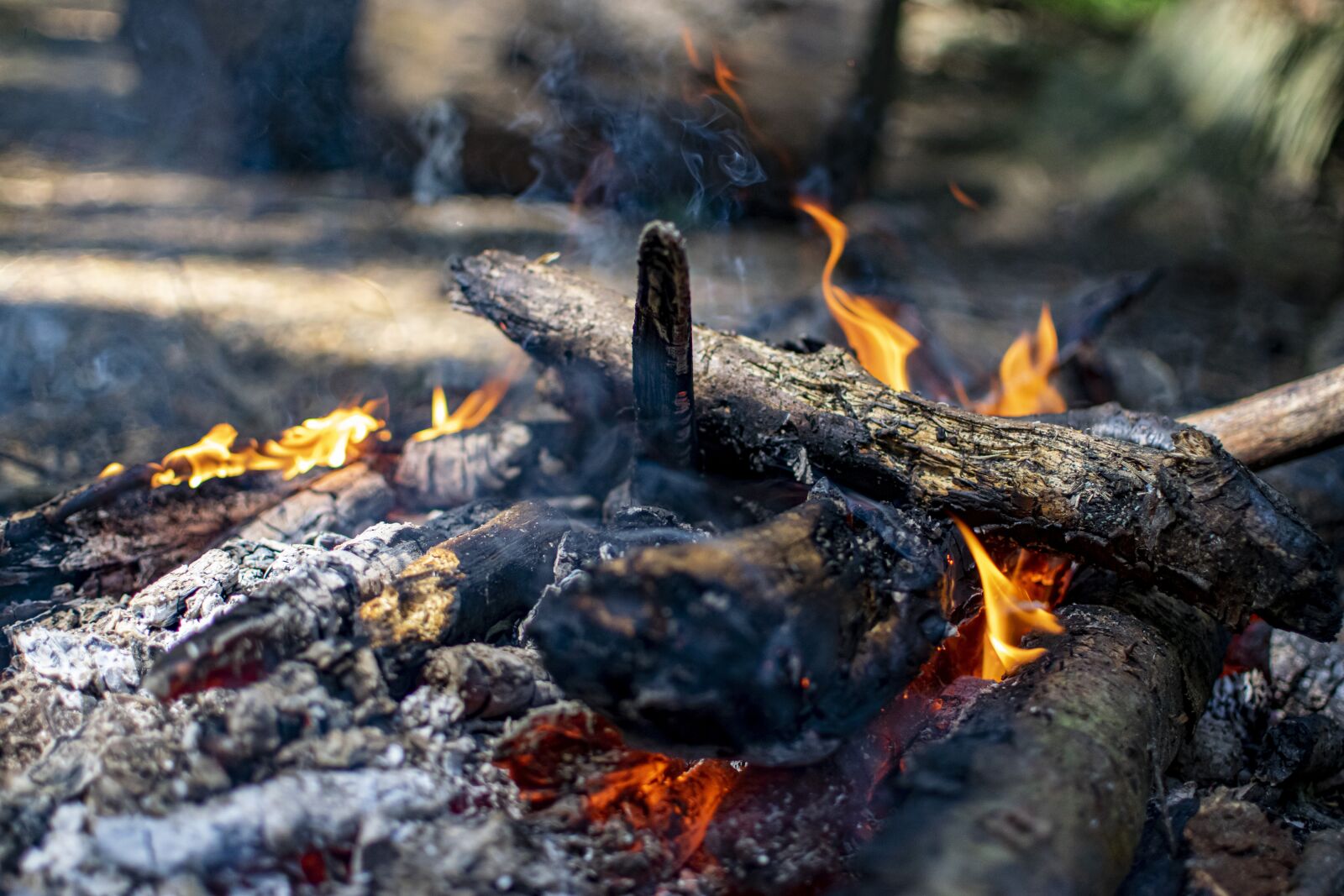 Nikon D3300 sample photo. Fire, camping, wood photography
